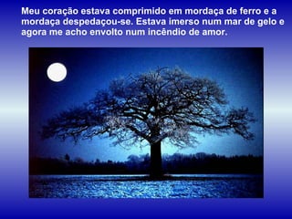 Meu coração estava comprimido em mordaça de ferro e a mordaça despedaçou-se. Estava imerso num mar de gelo e agora me acho envolto num incêndio de amor. 