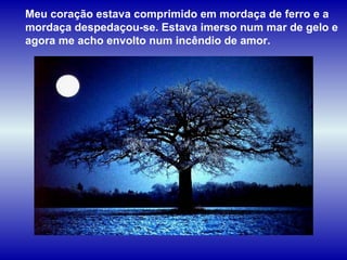 Meu coração estava comprimido em mordaça de ferro e a mordaça despedaçou-se. Estava imerso num mar de gelo e agora me acho envolto num incêndio de amor. 