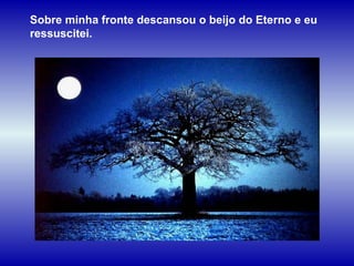 Sobre minha fronte descansou o beijo do Eterno e eu ressuscitei. 