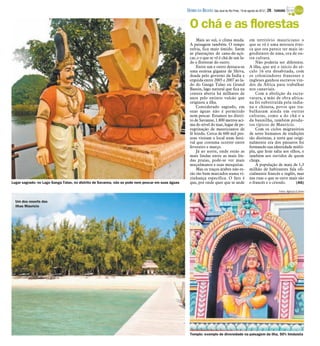 DIÁRIO DA REGIÃO São José do Rio Preto, 19 de agosto de 2012 / 29 - TURISMO


                                                                                                    O chá e as florestas
                                                                                                        Mais ao sul, o clima muda.                em território mauriciano o
                                                                                                    A paisagem também. O tempo                    que se vê é uma mistura étni-
                                                                                                    esfria, fica mais úmido. Saem                 ca que ora parece ter mais in-
                                                                                                    as plantações de cana-de-açú-                 gredientes de uma, ora de ou-
                                                                                                    car, e o que se vê é chá de um la-            tra cultura.
                                                                                                    do e florestas do outro.                          Não poderia ser diferente.
                                                                                                        Entre um e outro destaca-se               A ilha, que até o início do sé-
                                                                                                    uma estátua gigante de Shiva,                 culo 16 era desabitada, com
                                                                                                    doada pelo governo da Índia e                 os colonizadores franceses e
                                                                                                    erguida entre 2005 e 2007 ao la-              ingleses ganhou escravos vin-
                                                                                                    do do Ganga Talao ou Grand                    dos da África para trabalhar
                                                                                                    Bassin, lago natural que fica na              nos canaviais.
                                                                                                    cratera aberta há milhares de                     Com a abolição da escra-
                                                                                                    anos pelo extinto vulcão que                  vatura, a mão de obra africa-
                                                                                                    originou a ilha.                              na foi substituída pela india-
                                                                                                        Considerado sagrado, em                   na e chinesa, povos que tra-
                                                                                                    suas águas não é permitido                    balharam ainda em outras
                                                                                                    nem pescar. Estamos no distri-                culturas, como a do chá e a
                                                                                                    to de Savanne, 1.800 metros aci-              da baunilha, também produ-
                                                                                                    ma do nível do mar, lugar de pe-              tos típicos de Maurício.
                                                                                                    regrinação de mauricianos de                      Com os ciclos migratórios
                                                                                                    fé hindu. Cerca de 600 mil pes-               de seres humanos de tradições
                                                                                                    soas visitam o local num festi-               tão distintas, a terra que origi-
                                                                                                    val que costuma ocorrer entre                 nalmente era dos pássaros foi
                                                                                                    fevereiro e março.                            formando sua identidade múlti-
                                                                                                        Já ao norte, onde estão as                pla, que hoje salta aos olhos, e
                                                                                                    mais lindas entre as mais lin-                também aos ouvidos de quem
                                                                                                    das praias, pode-se ver mais                  chega.
                                                                                                    muçulmanos e suas mesquitas.                      A população de mais de 1,3
                                                                                                        Mas os traços árabes não es-              milhão de habitantes fala ofi-
                                                                                                    tão tão bem marcados numa vi-                 cialmente francês e inglês, mas
                                                                                                    zinhança específica. O fato é                 nas ruas o que se ouve mais são
Lugar sagrado: no Lago Ganga Talao, no distrito de Savanna, não se pode nem pescar em suas águas    que, por onde quer que se ande                o francês e o crioulo.      (AG)

                                                                                                                                                                         Fotos: Agência O Globo



  Um dos resorts das
  Ilhas Maurício




                                                                                                     Templo: exemplo de diversidade na paisagem da ilha, 50% hinduísta
 