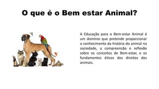 O que é o Bem estar Animal?
A Educação para o Bem-estar Animal é
um domínio que pretende proporcionar
o conhecimento da história do animal na
sociedade, a compreensão e reflexão
sobre os conceitos de Bem-estar, e os
fundamentos éticos dos direitos dos
animais.
 