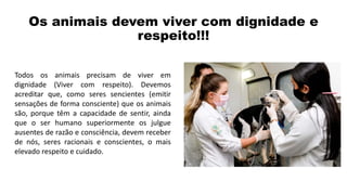 Os animais devem viver com dignidade e
respeito!!!
Todos os animais precisam de viver em
dignidade (Viver com respeito). Devemos
acreditar que, como seres sencientes (emitir
sensações de forma consciente) que os animais
são, porque têm a capacidade de sentir, ainda
que o ser humano superiormente os julgue
ausentes de razão e consciência, devem receber
de nós, seres racionais e conscientes, o mais
elevado respeito e cuidado.
 