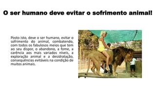 O ser humano deve evitar o sofrimento animal!
Posto isto, deve o ser humano, evitar o
sofrimento do animal, combatendo,
com todos os fabulosos meios que tem
ao seu dispor, o abandono, a fome, a
carência aos mais variados níveis, a
exploração animal e a desidratação,
consequências evitáveis na condição de
muitos animais.
 