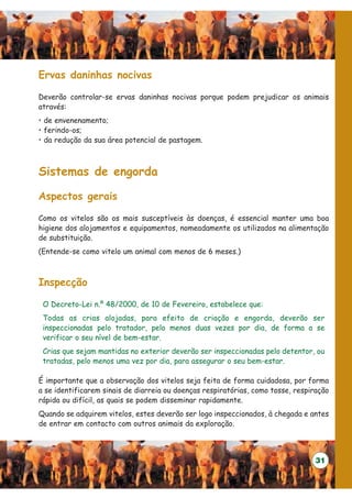 Ervas daninhas nocivas

Deverão controlar-se ervas daninhas nocivas porque podem prejudicar os animais
através:
• de envenenamento;
• ferindo-os;
• da redução da sua área potencial de pastagem.



Sistemas de engorda

Aspectos gerais

Como os vitelos são os mais susceptíveis às doenças, é essencial manter uma boa
higiene dos alojamentos e equipamentos, nomeadamente os utilizados na alimentação
de substituição.
(Entende-se como vitelo um animal com menos de 6 meses.)



Inspecção

 O Decreto-Lei n.º 48/2000, de 10 de Fevereiro, estabelece que:
 Todas as crias alojadas, para efeito de criação e engorda, deverão ser
 inspeccionadas pelo tratador, pelo menos duas vezes por dia, de forma a se
 verificar o seu nível de bem-estar.
 Crias que sejam mantidas no exterior deverão ser inspeccionadas pelo detentor, ou
 tratadas, pelo menos uma vez por dia, para assegurar o seu bem-estar.

É importante que a observação dos vitelos seja feita de forma cuidadosa, por forma
a se identificarem sinais de diarreia ou doenças respiratórias, como tosse, respiração
rápida ou difícil, as quais se podem disseminar rapidamente.
Quando se adquirem vitelos, estes deverão ser logo inspeccionados, à chegada e antes
de entrar em contacto com outros animais da exploração.



                                                                                  31
 
