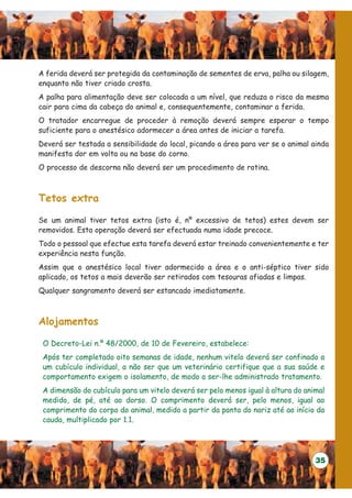 A ferida deverá ser protegida da contaminação de sementes de erva, palha ou silagem,
enquanto não tiver criado crosta.
A palha para alimentação deve ser colocada a um nível, que reduza o risco da mesma
cair para cima da cabeça do animal e, consequentemente, contaminar a ferida.
O tratador encarregue de proceder à remoção deverá sempre esperar o tempo
suficiente para o anestésico adormecer a área antes de iniciar a tarefa.
Deverá ser testada a sensibilidade do local, picando a área para ver se o animal ainda
manifesta dor em volta ou na base do corno.
O processo de descorna não deverá ser um procedimento de rotina.



Tetos extra

Se um animal tiver tetos extra (isto é, nº excessivo de tetos) estes devem ser
removidos. Esta operação deverá ser efectuada numa idade precoce.
Todo o pessoal que efectue esta tarefa deverá estar treinado convenientemente e ter
experiência nesta função.
Assim que o anestésico local tiver adormecido a área e o anti-séptico tiver sido
aplicado, os tetos a mais deverão ser retirados com tesouras afiadas e limpas.
Qualquer sangramento deverá ser estancado imediatamente.



Alojamentos

 O Decreto-Lei n.º 48/2000, de 10 de Fevereiro, estabelece:
 Após ter completado oito semanas de idade, nenhum vitelo deverá ser confinado a
 um cubículo individual, a não ser que um veterinário certifique que a sua saúde e
 comportamento exigem o isolamento, de modo a ser-lhe administrado tratamento.
 A dimensão do cubículo para um vitelo deverá ser pelo menos igual à altura do animal
 medido, de pé, até ao dorso. O comprimento deverá ser, pelo menos, igual ao
 comprimento do corpo do animal, medido a partir da ponta do nariz até ao início da
 cauda, multiplicado por 1.1.




                                                                                  35
 