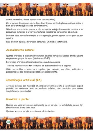 quando necessário, devem aparar-se os cascos (unhas).
Um programa de cuidados, deste tipo, deverá fazer parte do plano escrito de saúde e
bem-estar animal (já referido anteriormente).
Não devem aparar-se os cascos, a não ser que se esteja devidamente treinado e se
possuam os materiais e as infra-estruturas necessárias para conter os animais.
Deve ser dada particular atenção a esta operação, porque aparar cascos pode causar
coxeira.
Caso existam dúvidas, deverá ser consultado um médico veterinário.



Acasalamento natural

Quando praticado o acasalamento natural, deverão ser apenas usados animais jovens
em pequenos grupos de vacas (idealmente 10-15).
Deverá ser oferecida alimentação extra, quando necessária.
Todos os touros deverão ter condições de acasalamento boas e seguras.
Chão com ardósia e solos escorregadios (por exemplo, em pátios, cubículos e
passagens) não são zonas apropriadas para acasalamento.



Inseminação artificial (IA)

As vacas deverão ser mantidas em ambientes familiares até à inseminação; depois
poderão ser removidas para um estábulo próximo, com condições para serem
imediatamente inseminadas.



Gravidez e parto

Quando uma vaca leiteira, em aleitamento ou em parição, for estabulada, deverá ter
sempre acesso a uma cama seca.
Qualquer vaca em parição e estabulada, deverá estar:




 40
 