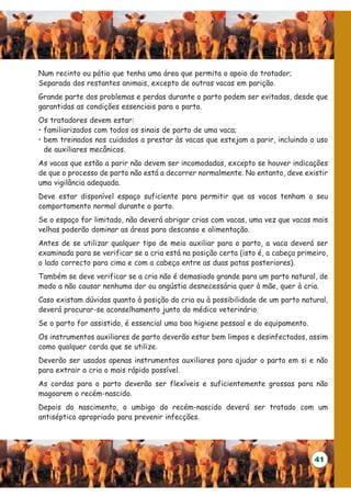 Num recinto ou pátio que tenha uma área que permita o apoio do tratador;
Separada dos restantes animais, excepto de outras vacas em parição.
Grande parte dos problemas e perdas durante o parto podem ser evitadas, desde que
garantidas as condições essenciais para o parto.
Os tratadores devem estar:
• familiarizados com todos os sinais de parto de uma vaca;
• bem treinados nos cuidados a prestar às vacas que estejam a parir, incluindo o uso
  de auxiliares mecânicos.
As vacas que estão a parir não devem ser incomodadas, excepto se houver indicações
de que o processo de parto não está a decorrer normalmente. No entanto, deve existir
uma vigilância adequada.
Deve estar disponível espaço suficiente para permitir que as vacas tenham o seu
comportamento normal durante o parto.
Se o espaço for limitado, não deverá abrigar crias com vacas, uma vez que vacas mais
velhas poderão dominar as áreas para descanso e alimentação.
Antes de se utilizar qualquer tipo de meio auxiliar para o parto, a vaca deverá ser
examinada para se verificar se a cria está na posição certa (isto é, a cabeça primeiro,
o lado correcto para cima e com a cabeça entre as duas patas posteriores).
Também se deve verificar se a cria não é demasiado grande para um parto natural, de
modo a não causar nenhuma dor ou angústia desnecessária quer à mãe, quer à cria.
Caso existam dúvidas quanto à posição da cria ou à possibilidade de um parto natural,
deverá procurar-se aconselhamento junto do médico veterinário.
Se o parto for assistido, é essencial uma boa higiene pessoal e do equipamento.
Os instrumentos auxiliares de parto deverão estar bem limpos e desinfectados, assim
como qualquer corda que se utilize.
Deverão ser usados apenas instrumentos auxiliares para ajudar o parto em si e não
para extrair a cria o mais rápido possível.
As cordas para o parto deverão ser flexíveis e suficientemente grossas para não
magoarem o recém-nascido.
Depois do nascimento, o umbigo do recém-nascido deverá ser tratado com um
antiséptico apropriado para prevenir infecções.




                                                                                  41
 