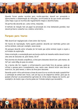 Quando forem usados recintos para recém-nascidos, deverá ser prevenido o
aparecimento e disseminação de infecções, certificando-se de que existe suficiente
cama limpa e que os recintos são regularmente limpos e desinfectados.
Os partos não deverão ser, como rotina, induzidos.
O método de indução tem um papel na prevenção de crias demasiado grandes, mas
deverá primeiro consultar-se o médico veterinário.



Parques para touros

Não deverá ser negligenciado o bem-estar dos touros.
Os touros de reprodução, tanto quanto possível, deverão ser mantidos juntos com
outros animais, como por exemplo, vacas secas.
Os parques deverão estar situados de tal modo que estes animais vejam e oiçam a
actividade da exploração.
Como orientação, a acomodação para um bovino adulto de tamanho médio deverá incluir
uma zona de descanso de, pelo menos, 16 m2.
Para bovinos de elevada corpulência, a área para descanso deverá ser, pelo menos, de
1m2 por cada 60kg do peso do animal.
Se o bovino não for regular e rotineiramente exercitado fora do parque, pode-se
utilizar o parque para o acasalamento, mas, neste caso, deverá incluir uma área de
exercício, de, pelo menos, o dobro da área para descanso.
Deverão existir infra-estruturas e áreas de exercício no recinto de modo a possibilitar
a contenção do animal sem riscos, com um laço ou um dispositivo similar, para que se
possam efectuar os procedimentos agrícolas de rotina (como limpeza do recinto, por
exemplo) e de modo a que o bovino possa ser tratado sempre que necessário.




 42
 