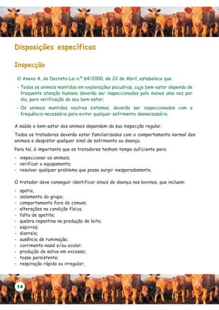 Disposições específicas

Inspecção

    O Anexo A, do Decreto-Lei n.º 64/2000, de 22 de Abril, estabelece que:
    - Todos os animais mantidos em explorações pecuárias, cujo bem-estar dependa de
      frequente atenção humana deverão ser inspeccionados pelo menos uma vez por
      dia, para verificação do seu bem-estar;
    - Os animais mantidos noutros sistemas, deverão ser inspeccionados com a
      frequência necessária para evitar qualquer sofrimento desnecessário.

A saúde e bem-estar dos animais dependem da sua inspecção regular.
Todos os tratadores deverão estar familiarizados com o comportamento normal dos
animais e despistar qualquer sinal de sofrimento ou doença.
Para tal, é importante que os tratadores tenham tempo suficiente para:
- inspeccionar os animais;
- verificar o equipamento;
- resolver qualquer problema que possa surgir inesperadamente.

O tratador deve conseguir identificar sinais de doença nos bovinos, que incluem:
-    apatia,
-    isolamento do grupo;
-    comportamento fora do comum;
-    alterações na condição física;
-    falta de apetite;
-    quebra repentina na produção de leite;
-    espirros;
-    diarreia;
-    ausência de ruminação;
-    corrimento nasal e/ou ocular;
-    produção de saliva em excesso;
-    tosse persistente;
-    respiração rápida ou irregular;



    14
 