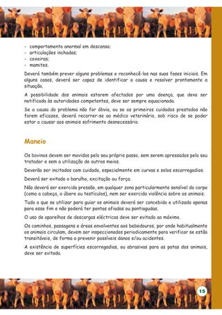 -   comportamento anormal em descanso;
-   articulações inchadas;
-   coxeiras;
-   mamites.
Deverá também prever alguns problemas e reconhecê-los nas suas fases iniciais. Em
alguns casos, deverá ser capaz de identificar a causa e resolver prontamente a
situação.
A possibilidade dos animais estarem afectados por uma doença, que deva ser
notificada às autoridades competentes, deve ser sempre equacionada.
Se a causa do problema não for óbvia, ou se os primeiros cuidados prestados não
forem eficazes, deverá recorrer-se ao médico veterinário, sob risco de se poder
estar a causar aos animais sofrimento desnecessário.



Maneio

Os bovinos devem ser movidos pelo seu próprio passo, sem serem apressados pelo seu
tratador e sem a utilização de outros meios.
Deverão ser incitados com cuidado, especialmente em curvas e solos escorregadios.
Deverá ser evitado o barulho, excitação ou força.
Não deverá ser exercida pressão, em qualquer zona particularmente sensível do corpo
(como a cabeça, o úbere ou testículos), nem ser exercida violência sobre os animais.
Tudo o que se utilizar para guiar os animais deverá ser concebido e utilizado apenas
para esse fim e não poderá ter pontas afiadas ou pontiagudas.
O uso de aparelhos de descargas eléctricas deve ser evitado ao máximo.
Os caminhos, passagens e áreas envolventes aos bebedouros, por onde habitualmente
os animais circulam, devem ser inspeccionados periodicamente para verificar se estão
transitáveis, de forma a prevenir possíveis danos e/ou acidentes.
A existência de superfícies escorregadias, ou abrasivas para as patas dos animais,
deve ser evitada.




                                                                                15
 
