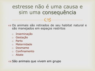 
 Os animais são retirados de seu habitat natural e
são manejados em espaços restritos
o Inseminação
o Gestação
o Parto
o Maternidade
o Desmame
o Confinamento
o Abate
 São animais que vivem em grupo
estresse não é uma causa e
sim uma consequência
 
