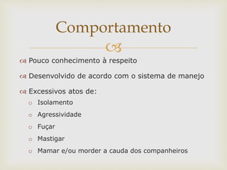 
 Pouco conhecimento à respeito
 Desenvolvido de acordo com o sistema de manejo
 Excessivos atos de:
o Isolamento
o Agressividade
o Fuçar
o Mastigar
o Mamar e/ou morder a cauda dos companheiros
Comportamento
 