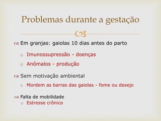 
 Em granjas: gaiolas 10 dias antes do parto
o Imunossupressão - doenças
o Anômalos - produção
 Sem motivação ambiental
o Mordem as barras das gaiolas - fome ou desejo
 Falta de mobilidade
o Estresse crônico
Problemas durante a gestação
 
