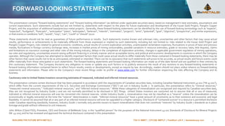 Project Look Back Look Forward Project Statement Example BeMetals Presentation_September 2024.pdf