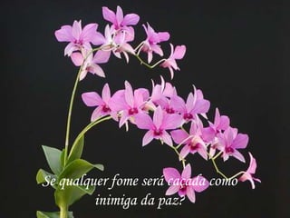 Se qualquer fome será caçada como
         inimiga da paz?
 