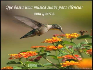 Que basta uma música suave para silenciar
              uma guerra.
 