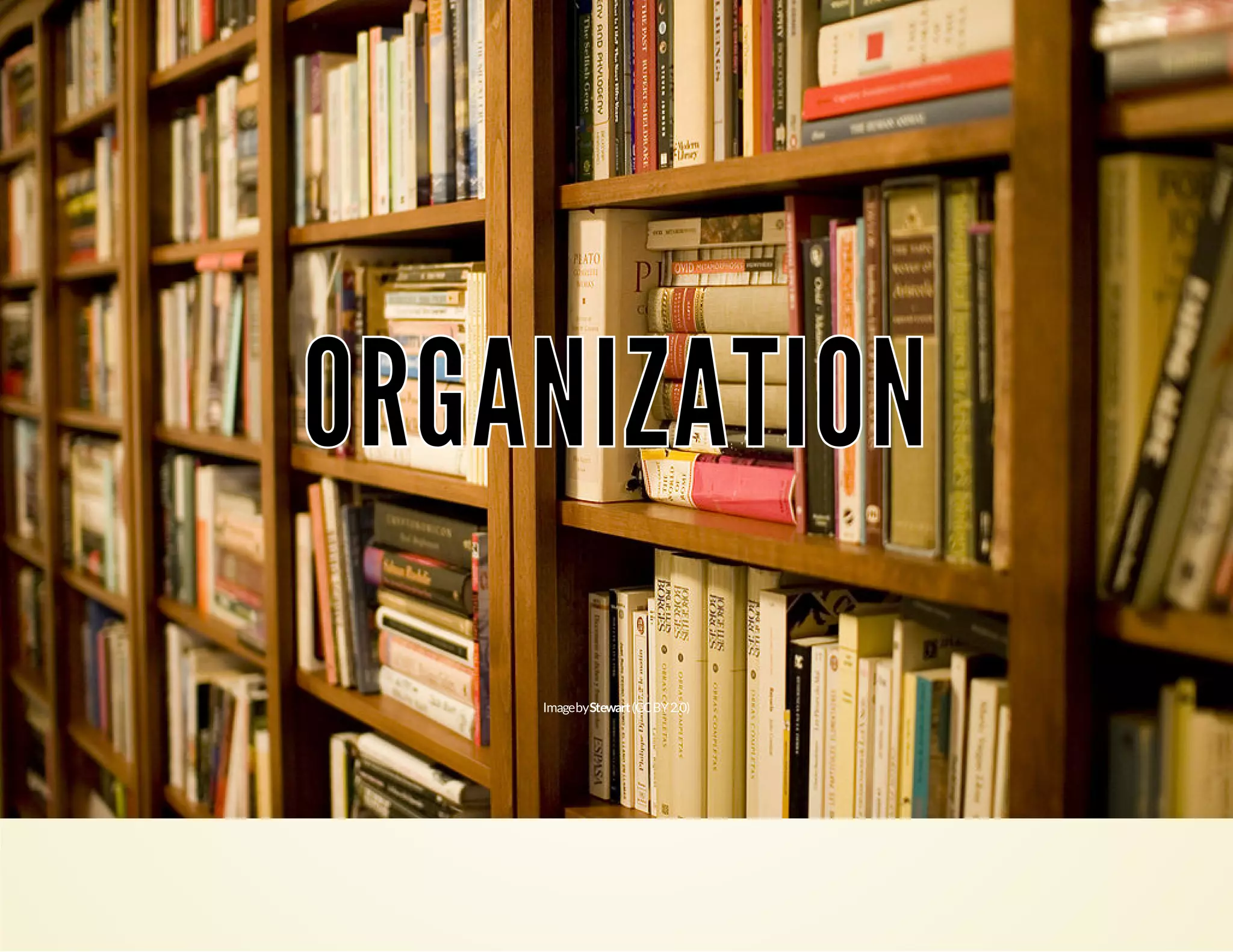OORRGGAANNIIZZAATTIIOONN 
Image by Stewart (CC BY 2.0) 
 