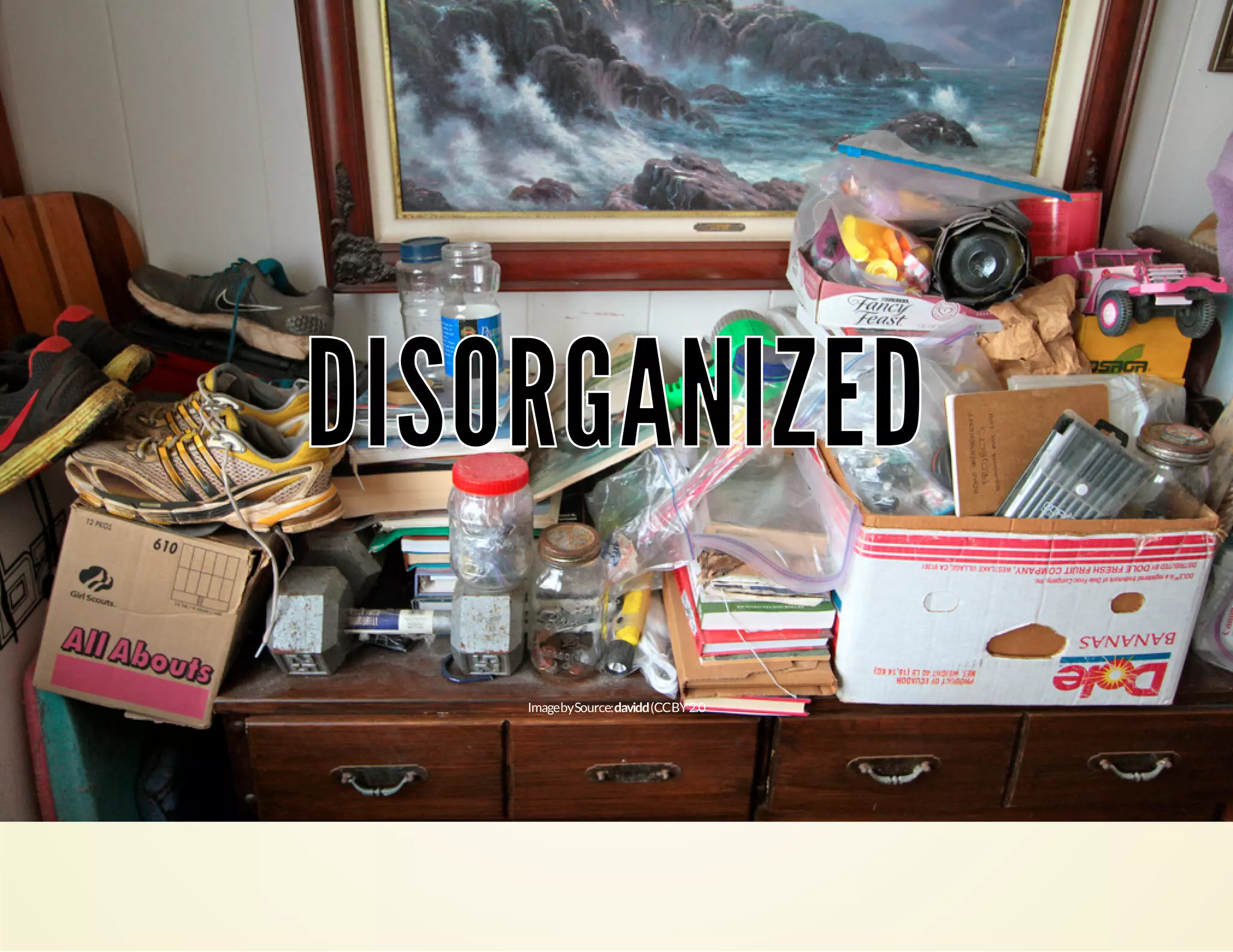 DDIISSOORRGGAANNIIZZEEDD 
Image by Source: davidd (CC BY 2.0 
 