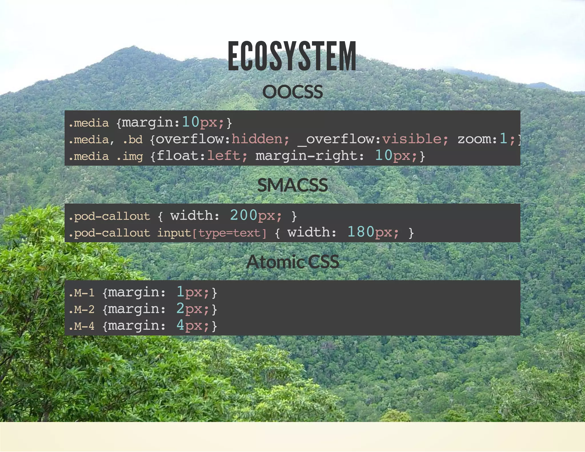 ECOSYSTEM 
OOCSS 
.media {margin:10px;} 
.media, .bd {overflow:hidden; _overflow:visible; zoom:1;} 
.media .img {float:left; margin-right: 10px;} 
SMACSS 
.pod-callout { width: 200px; } 
.pod-callout input[type=text] { width: 180px; } 
Atomic CSS 
.M-1 {margin: 1px;} 
.M-2 {margin: 2px;} 
.M-4 {margin: 4px;} 
 
