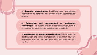 BEMONC AND CEMONC NOTES in Maternal andi | PDF
