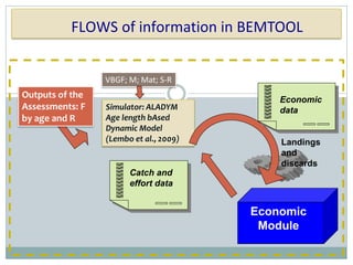 Bemtool Overview | PDF