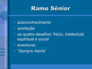 Ramo Sênior autoconhecimento aceitação os quatro desafios: físico, intelectual, espiritual e social aventuras “ Sempre Alerta” 