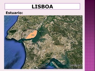 Estuario:
 