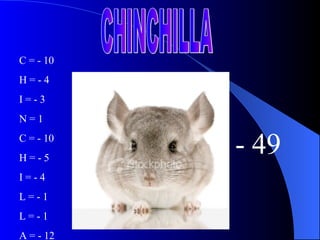 CHINCHILLA C = - 10 H = - 4 I = - 3 N = 1 C = - 10 H = - 5 I = - 4 L = - 1 L = - 1 A = - 12 - 49 