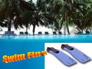 Swim Fins
