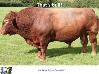 g
That’s bull!
http://www.flickr.com/people/oli/
 