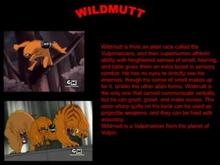Wildmutt is from an alien race called the
Vulpimancers, and their superhuman athletic
ability with heightened senses of smell, hearing,
and taste gives them an extra boost in sensory
combat. He has no eyes to directly see his
enemies, though his sense of smell makes up
for it. Unlike the other alien forms, Wildmutt is
the only one that cannot communicate verbally,
but he can grunt, growl, and make noises. The
razor-sharp quills on his back can be used as
projectile weapons, and they can be fired with
accuracy.
Wildmutt is a Vulpimancer from the planet of
Vulpin.
 