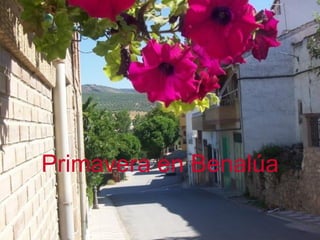 Primavera en Benalúa