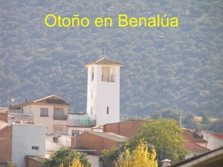 Otoño en Benalúa