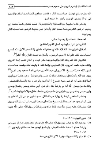 الصناعة الحديثية في شرح النووي Benamor.belgacem