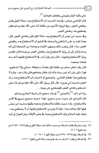 الصناعة الحديثية في شرح النووي Benamor.belgacem