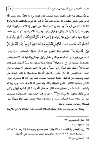 الصناعة الحديثية في شرح النووي Benamor.belgacem