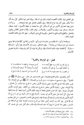 تهذيب تحفة الحبيب في شرح نهاية التدريب Benamor.belgacem