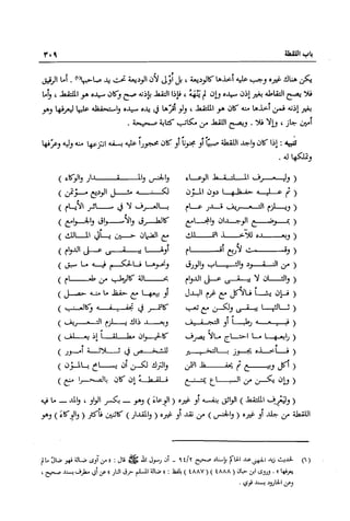 تهذيب تحفة الحبيب في شرح نهاية التدريب Benamor.belgacem