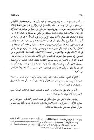 تهذيب تحفة الحبيب في شرح نهاية التدريب Benamor.belgacem