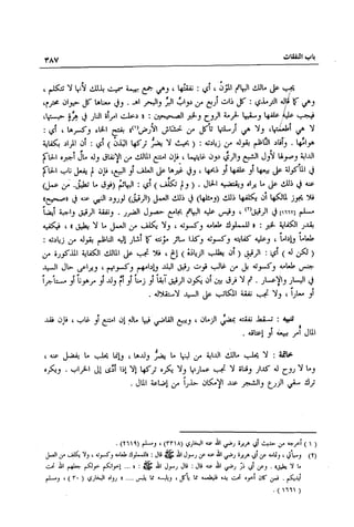 تهذيب تحفة الحبيب في شرح نهاية التدريب Benamor.belgacem