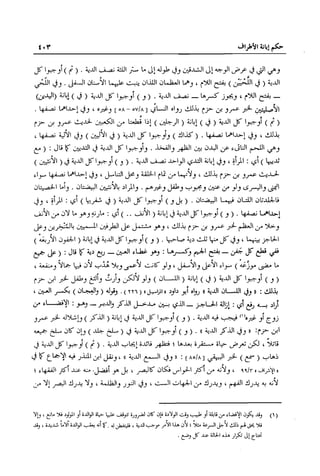 تهذيب تحفة الحبيب في شرح نهاية التدريب Benamor.belgacem