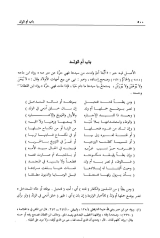 تهذيب تحفة الحبيب في شرح نهاية التدريب Benamor.belgacem