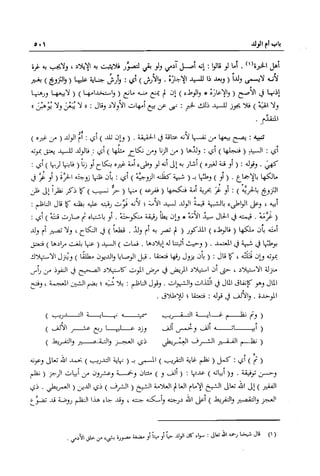 تهذيب تحفة الحبيب في شرح نهاية التدريب Benamor.belgacem