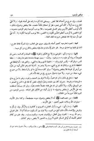 تهذيب تحفة الحبيب في شرح نهاية التدريب Benamor.belgacem