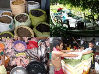 The Emerging ‘Quiet Revolution’ in Myanmar's Aquaculture Value Chain