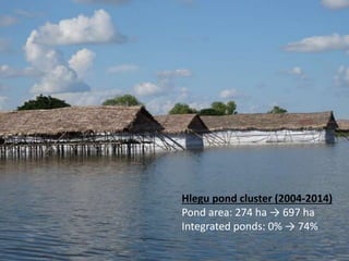 The Emerging ‘Quiet Revolution’ in Myanmar's Aquaculture Value Chain