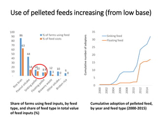 The Emerging ‘Quiet Revolution’ in Myanmar's Aquaculture Value Chain