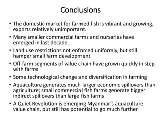 The Emerging ‘Quiet Revolution’ in Myanmar's Aquaculture Value Chain