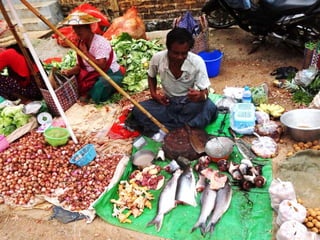 The Emerging ‘Quiet Revolution’ in Myanmar's Aquaculture Value Chain