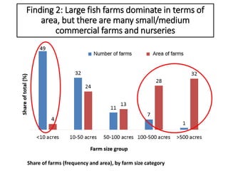 The Emerging ‘Quiet Revolution’ in Myanmar's Aquaculture Value Chain